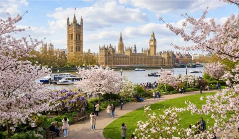 London in Spring - Westminster in the background